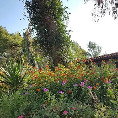 Hotel Korca Divjake